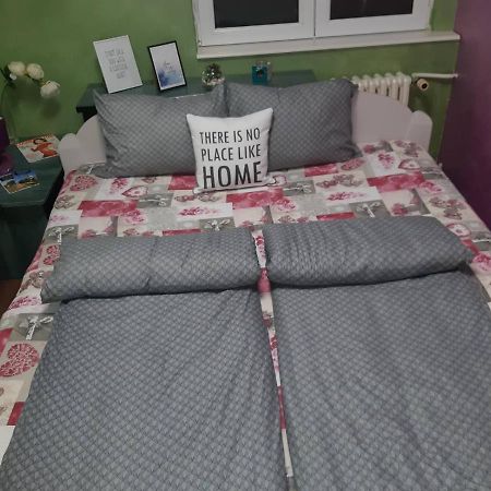 Sweet Home Danube Liman Apartment نوفي ساد المظهر الخارجي الصورة
