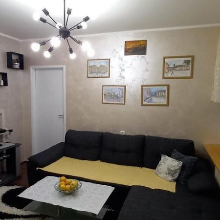 Sweet Home Danube Liman Apartment نوفي ساد المظهر الخارجي الصورة