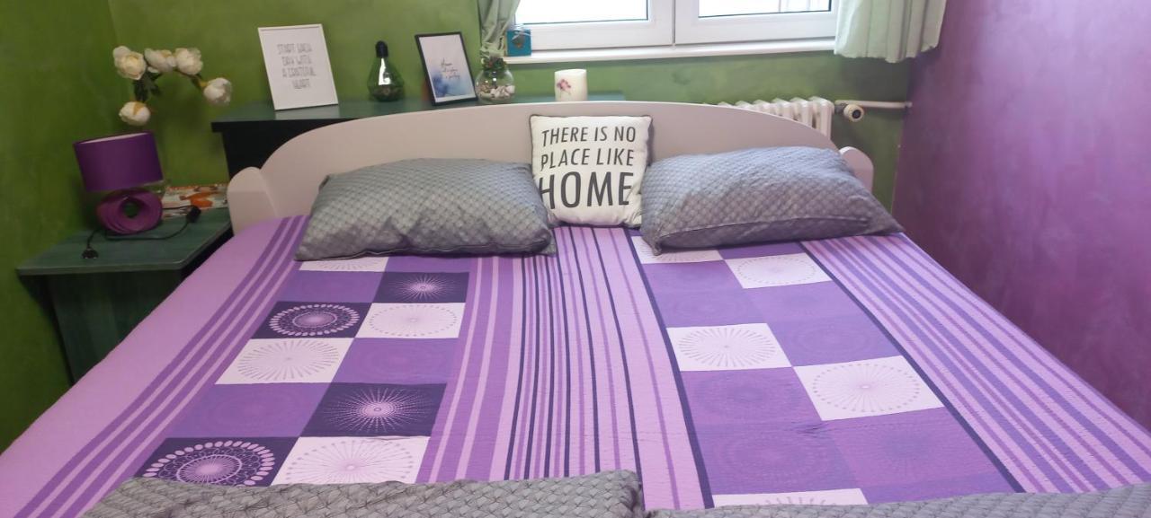 Sweet Home Danube Liman Apartment نوفي ساد المظهر الخارجي الصورة