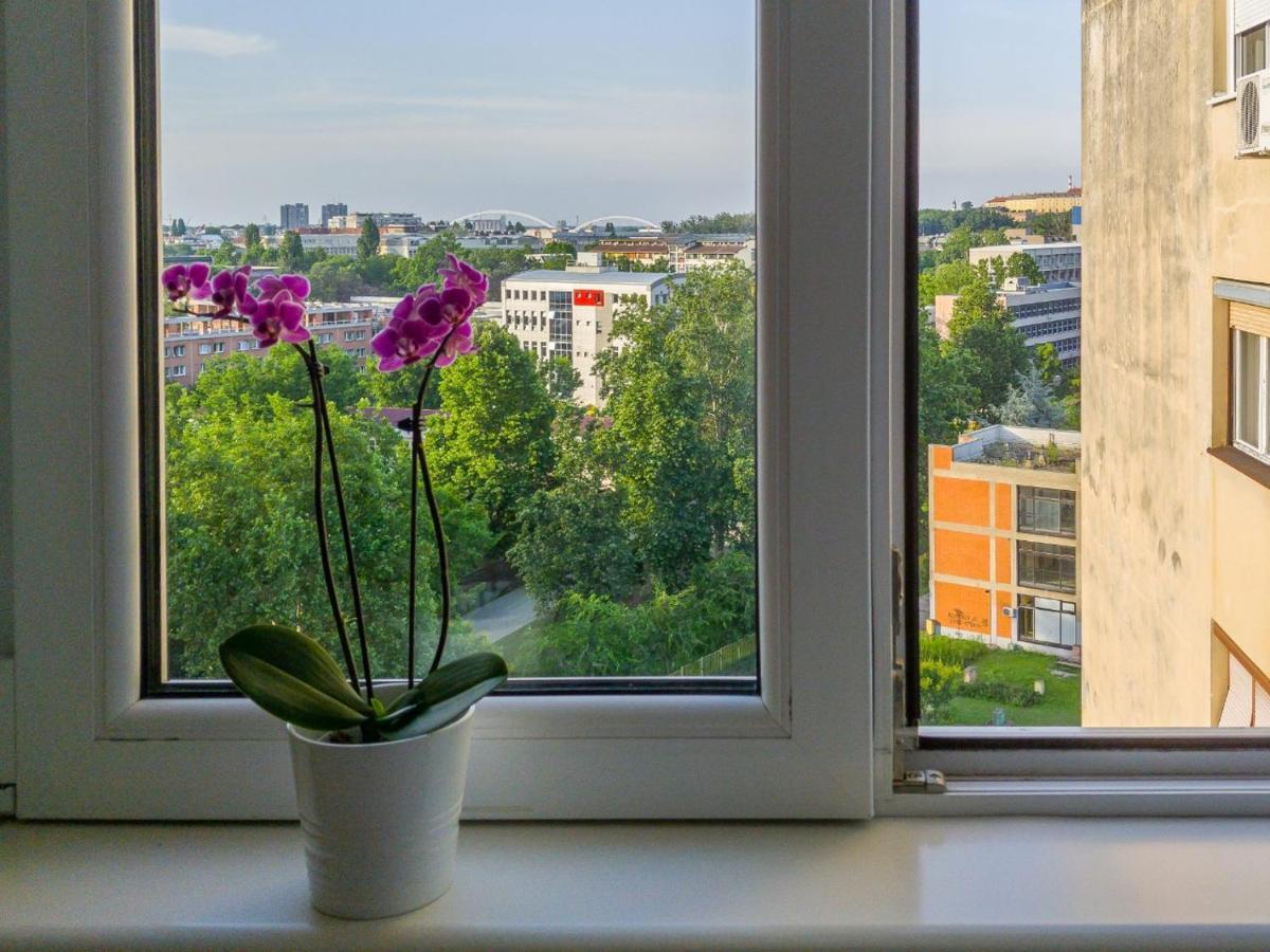 Sweet Home Danube Liman Apartment نوفي ساد المظهر الخارجي الصورة