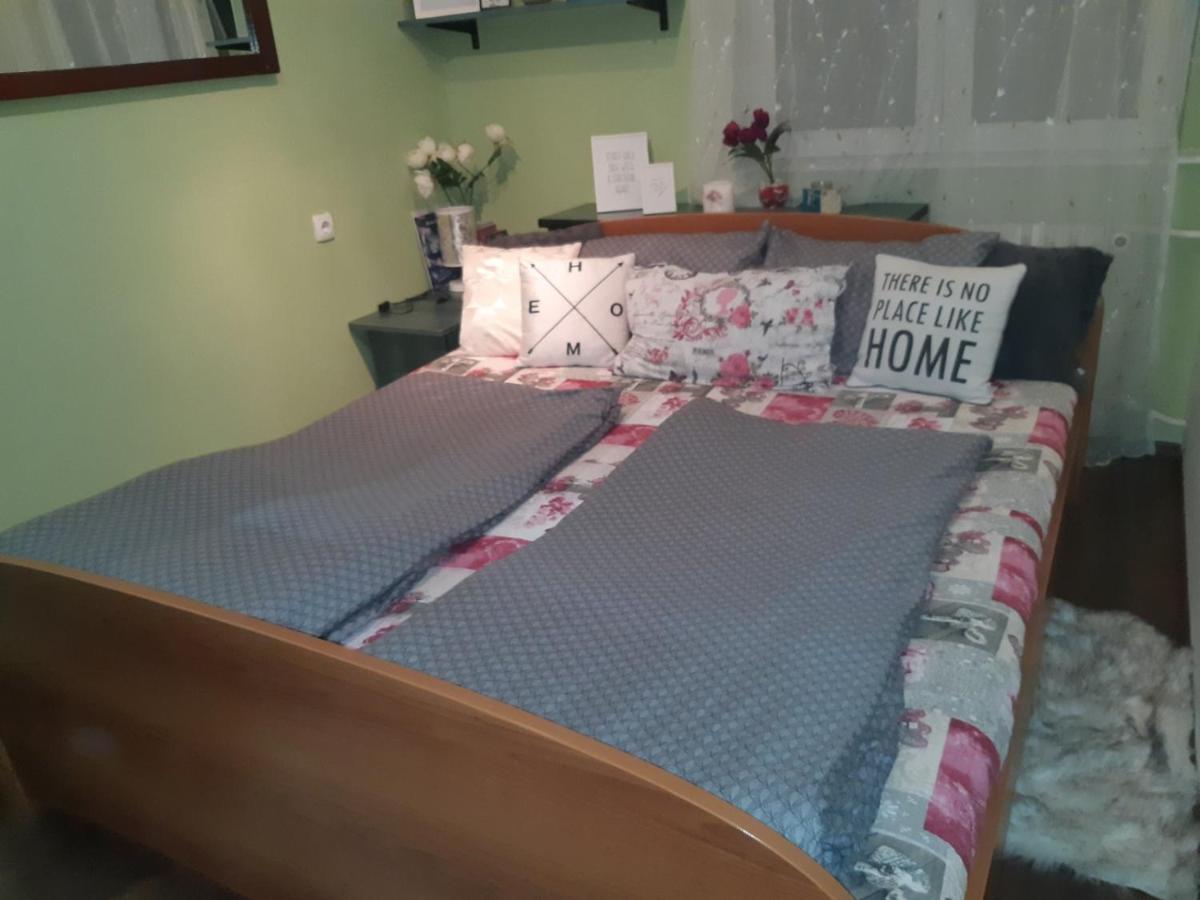 Sweet Home Danube Liman Apartment نوفي ساد المظهر الخارجي الصورة