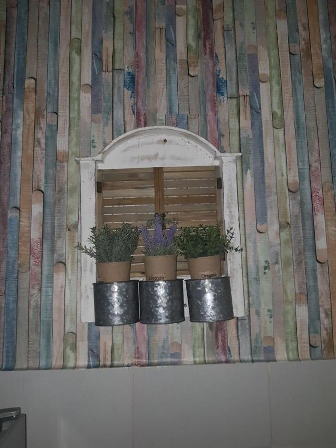 Sweet Home Danube Liman Apartment نوفي ساد المظهر الخارجي الصورة