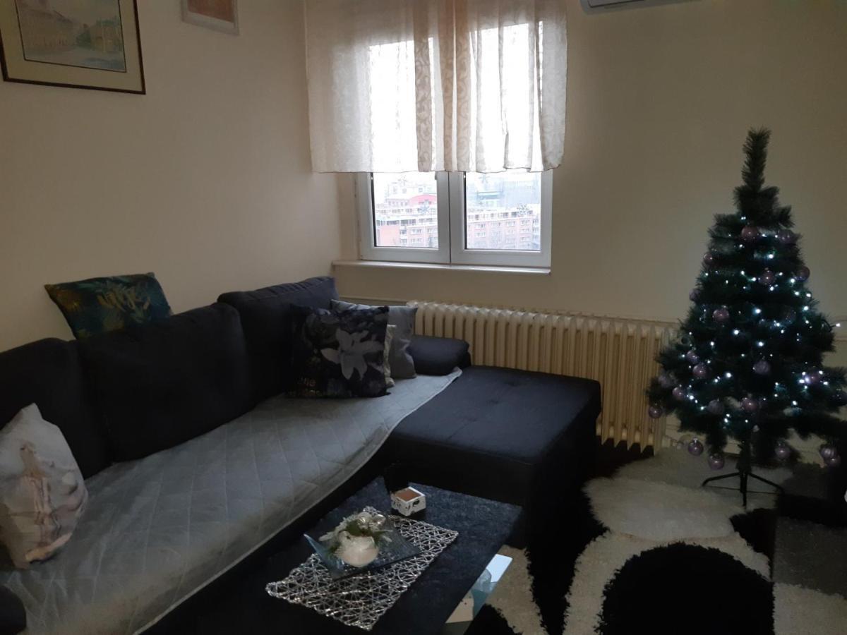 Sweet Home Danube Liman Apartment نوفي ساد المظهر الخارجي الصورة