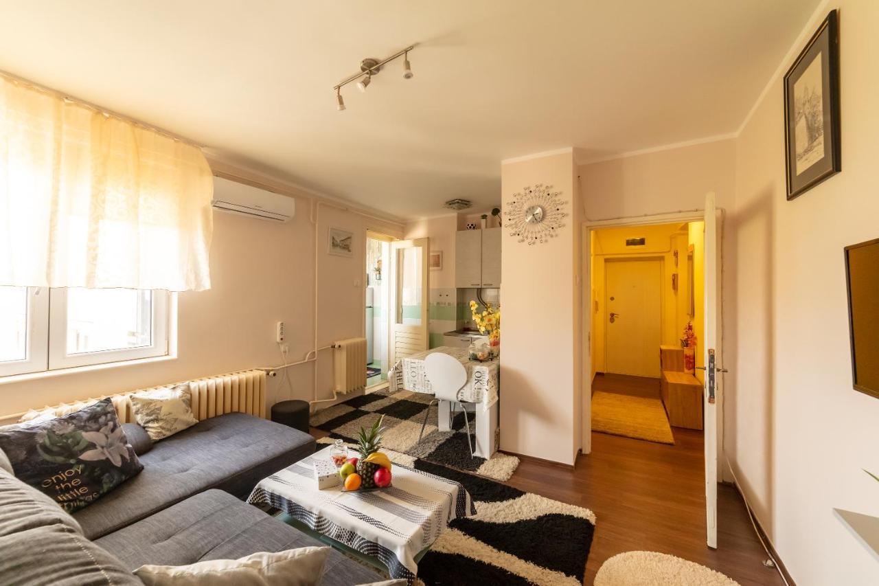 Sweet Home Danube Liman Apartment نوفي ساد المظهر الخارجي الصورة