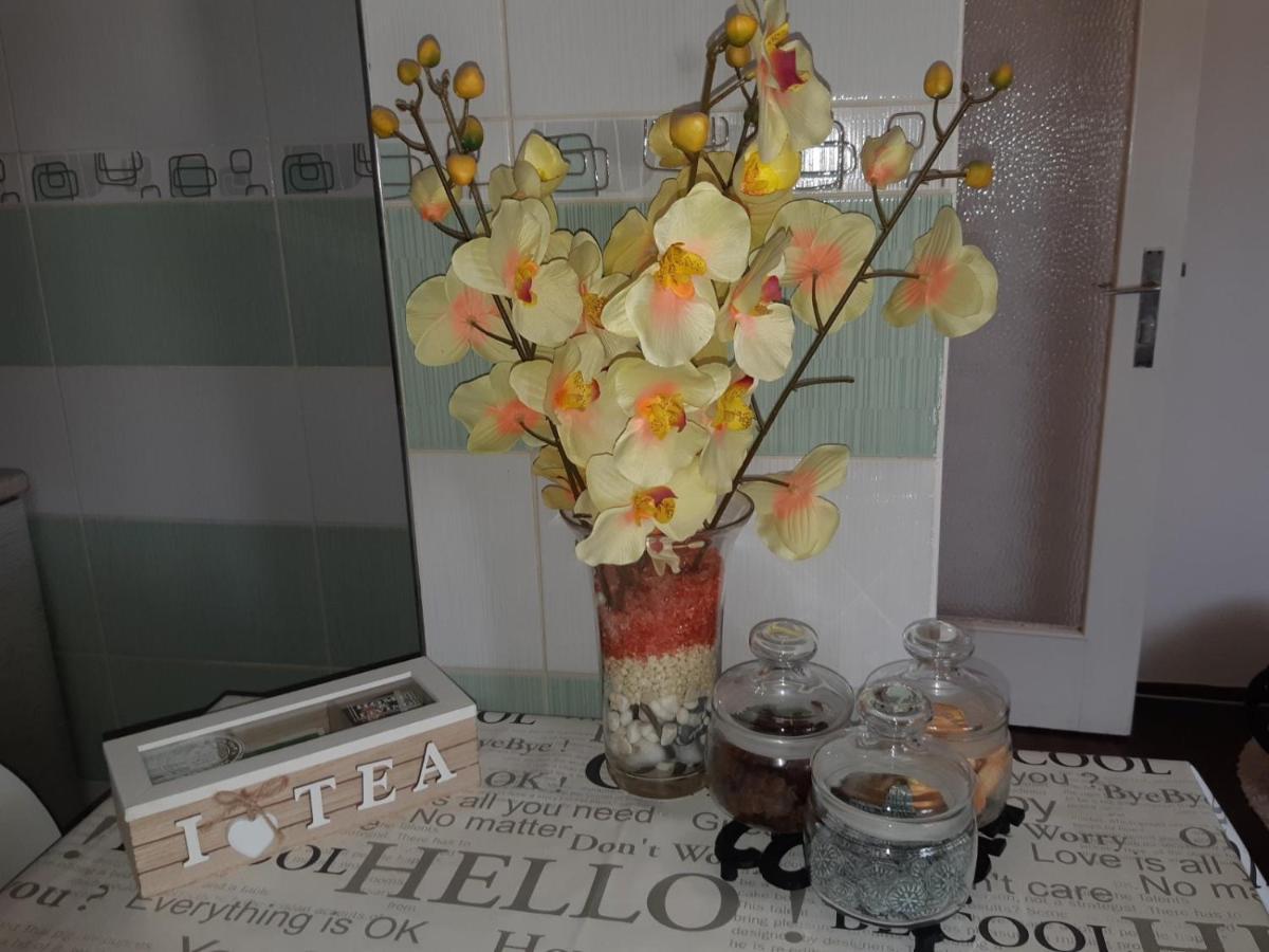Sweet Home Danube Liman Apartment نوفي ساد المظهر الخارجي الصورة