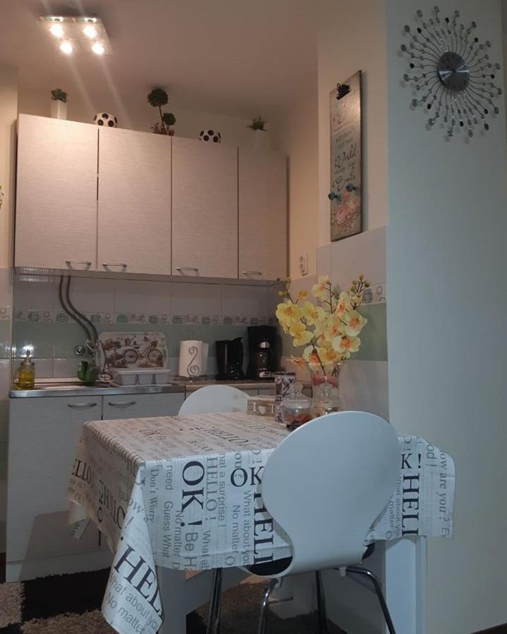 Sweet Home Danube Liman Apartment نوفي ساد المظهر الخارجي الصورة